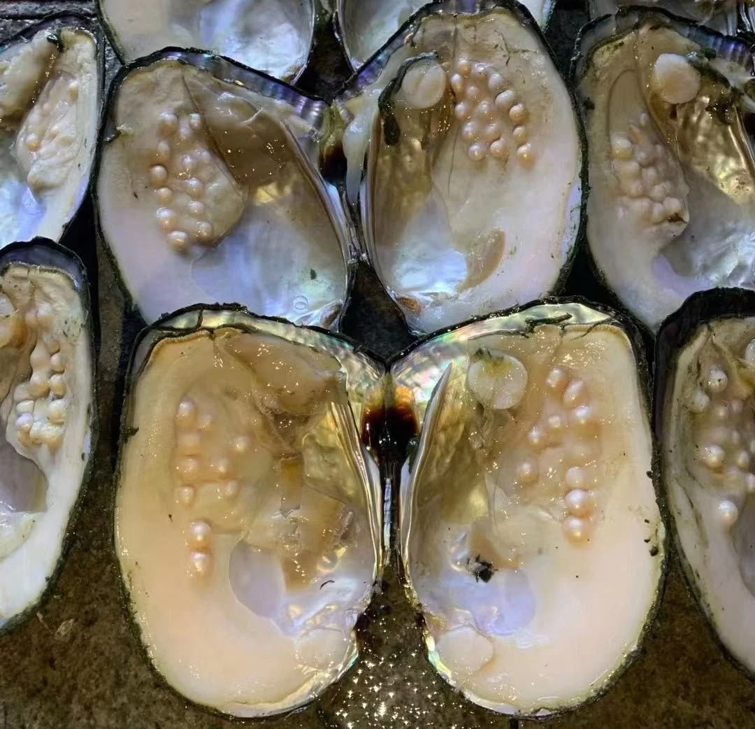 Do Oysters Feel Pain? The Truth Behind Pearl Farming